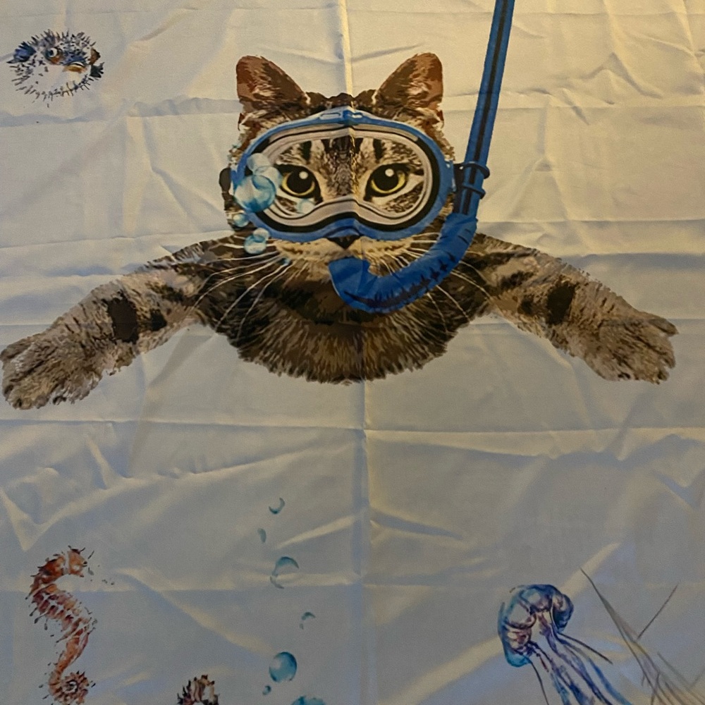 Shower curtain
